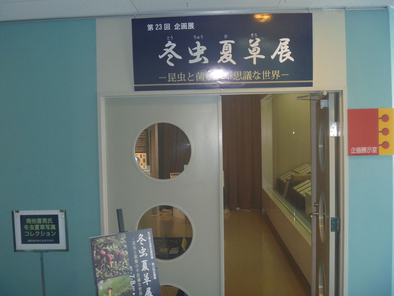 P1000973