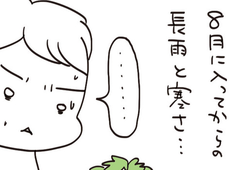 mixi211326