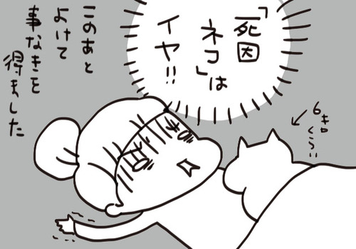 mixi212168