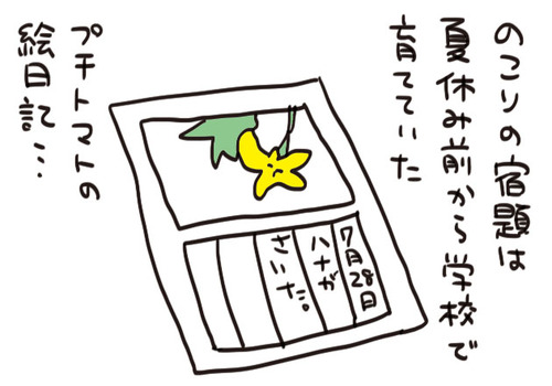 mixi211323