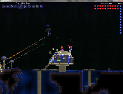 Terrariaception1