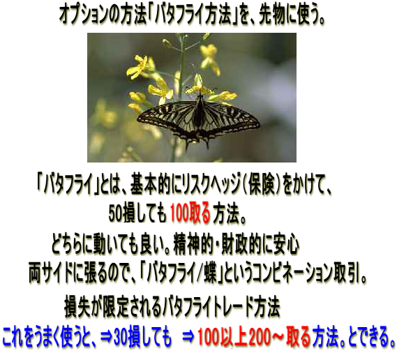 「バタフライ」を、先物に