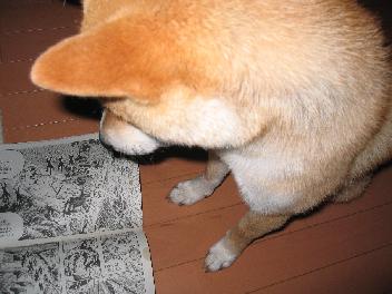 img20070519_1_p