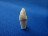 DSC00164