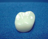 6ebb7084.jpg