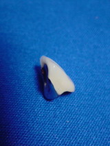 7610c509.jpg