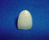 92c72399.jpg