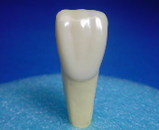 ade576a9.jpg