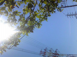 931b0787.jpg