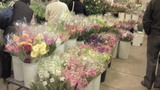ふらり花200911210948000