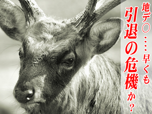 草 剛