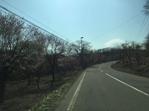 IMG_4028
