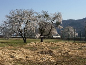 IMG_4024