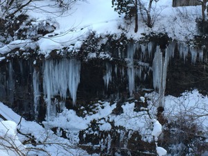 IMG_3508
