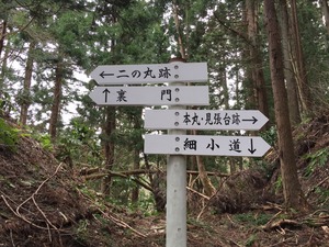 IMG_3810