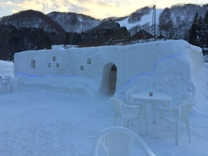 IMG_3497