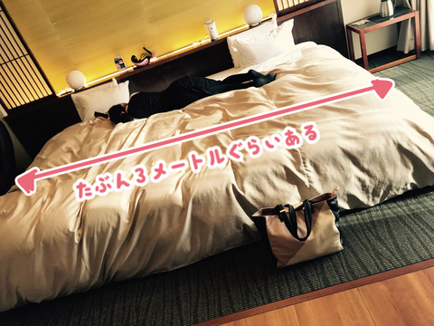 ryokou1