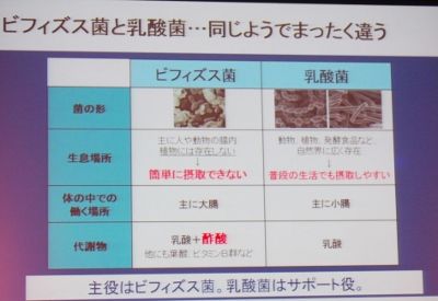 PB250110 (400x275)
