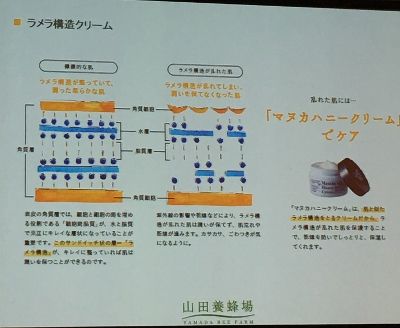 IMG_3542 (400x328)