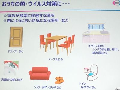 IMG_2590 (400x298)