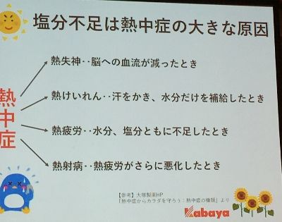 IMG_3520 (400x315)