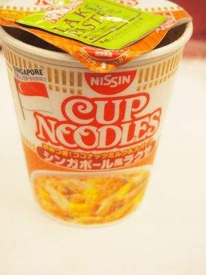 PB250167 (300x400)