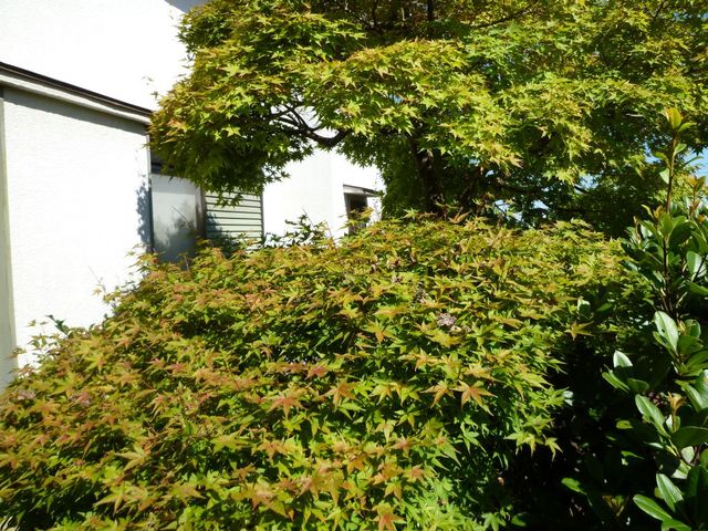 P1030903