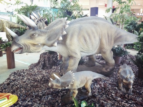 2012-08-17 13:38:24 写真1