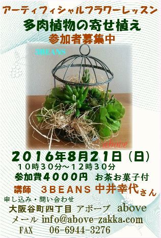 多肉植物のレッスンスリービーンズ