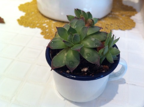 2012-08-30 15:52:22 写真1