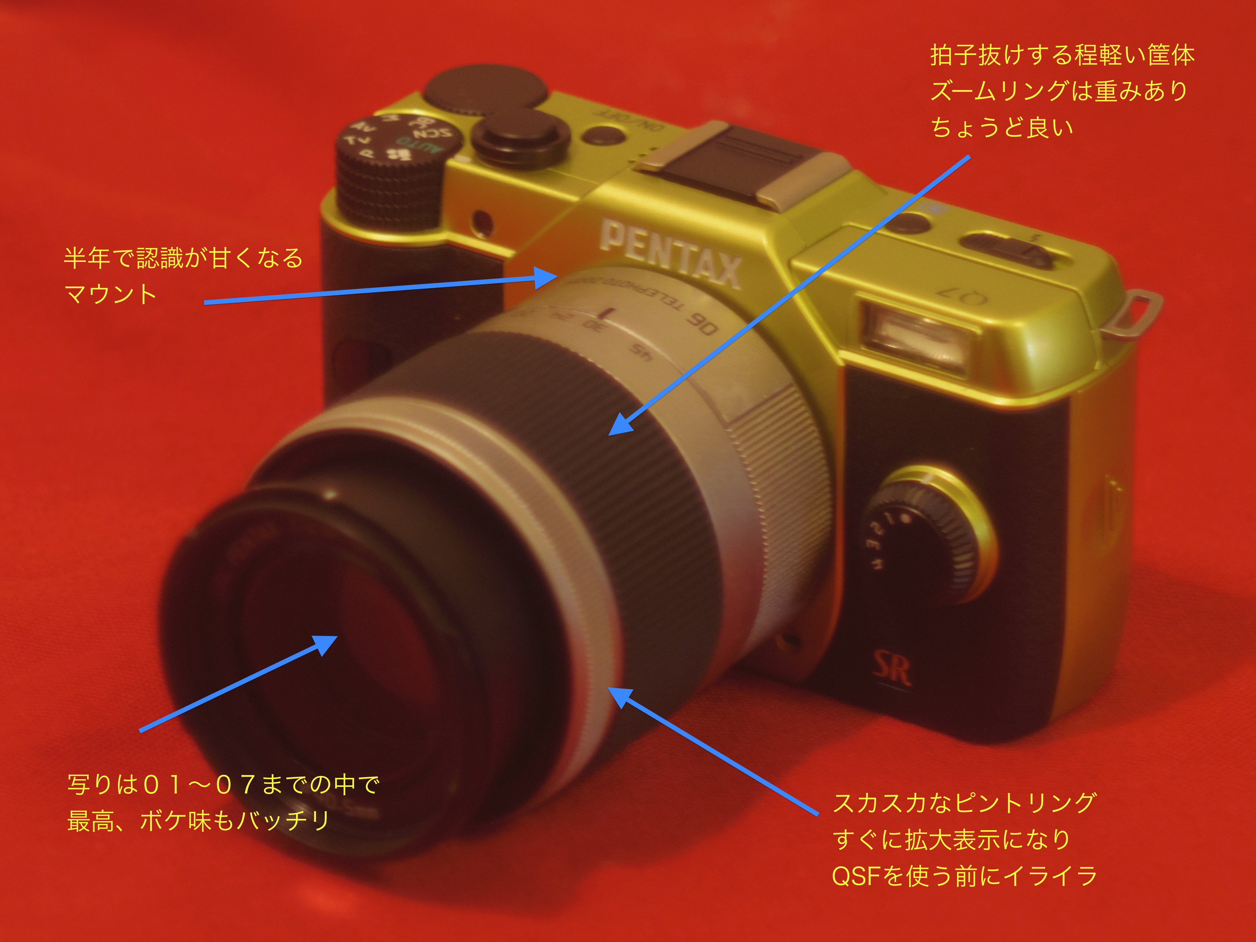 06 TELEPHOTO ZOOM （1）華を撮る : abeshi's snapshot ○軽くて