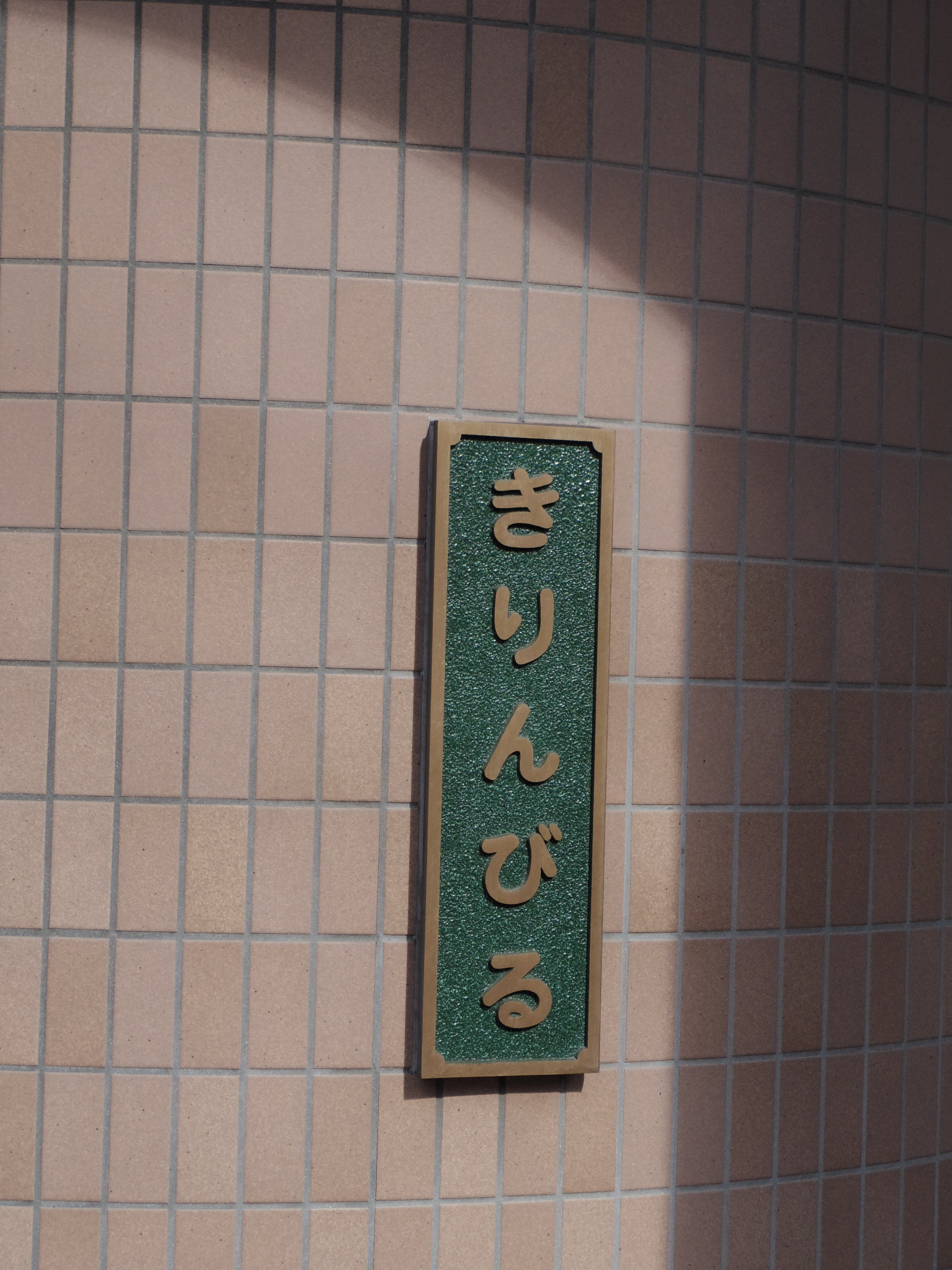 珍品IMGP1938