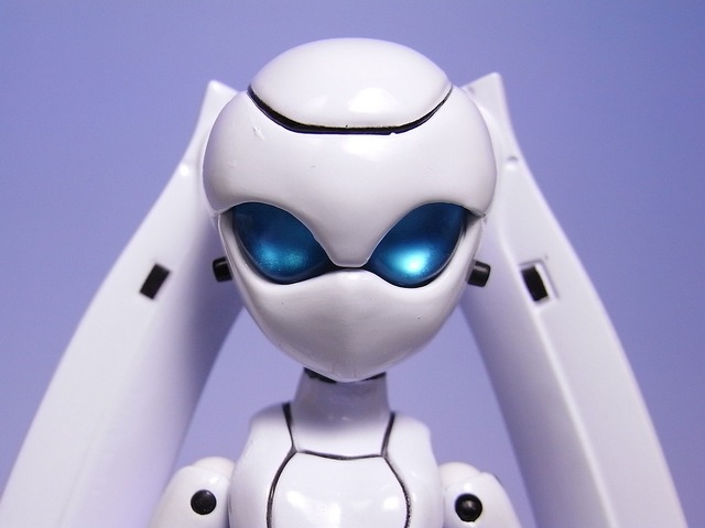 RIMG0005