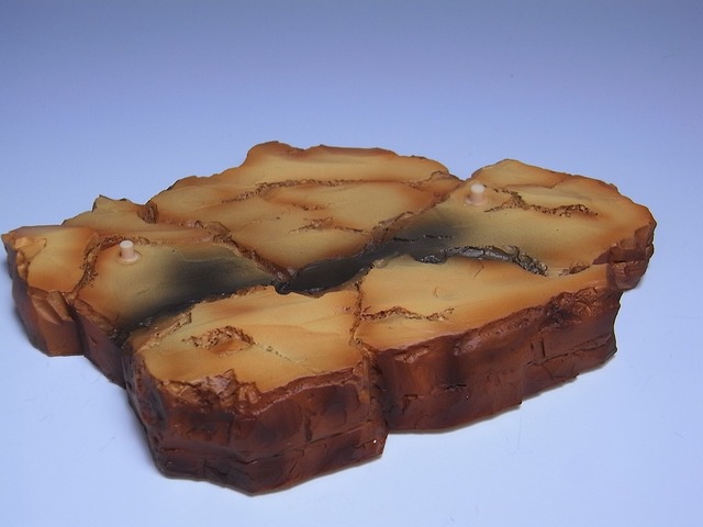 RIMG0080