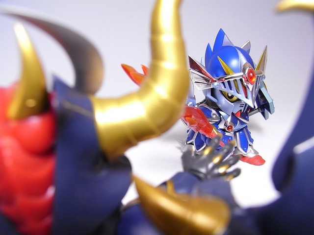 RIMG0054