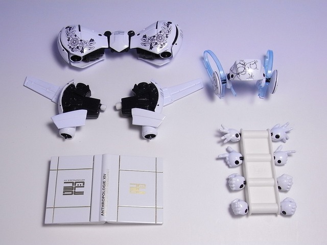 RIMG0010