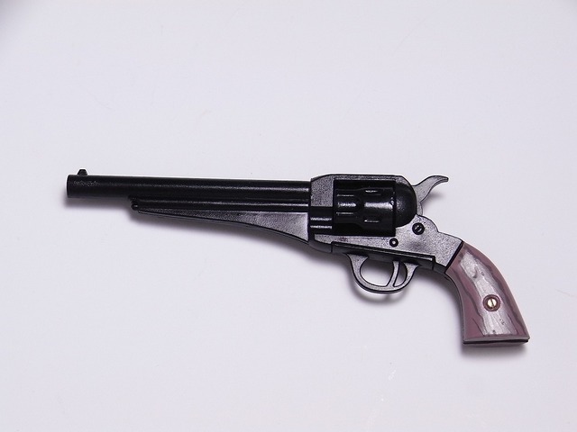 RIMG0002