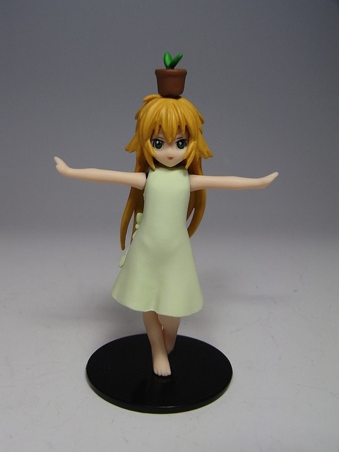 RIMG0029