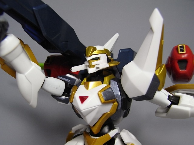 RIMG0060