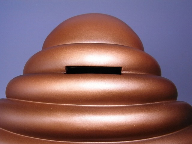 RIMG0023