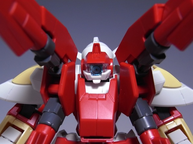RIMG0081