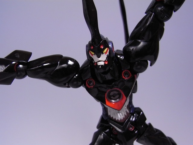 RIMG0060