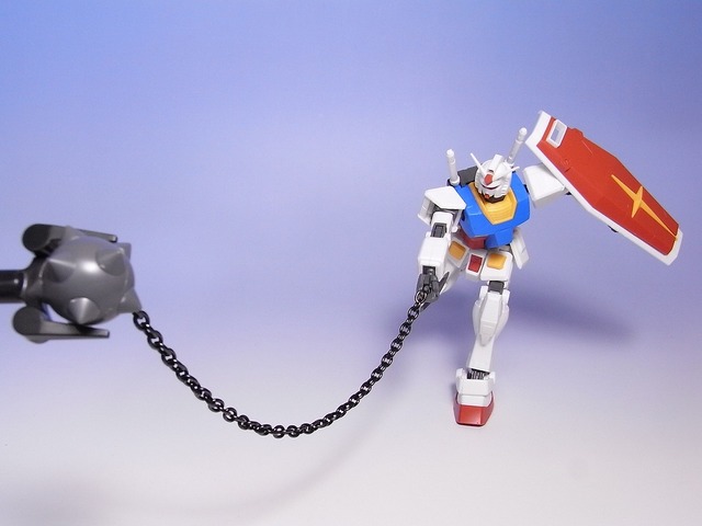 RIMG0025
