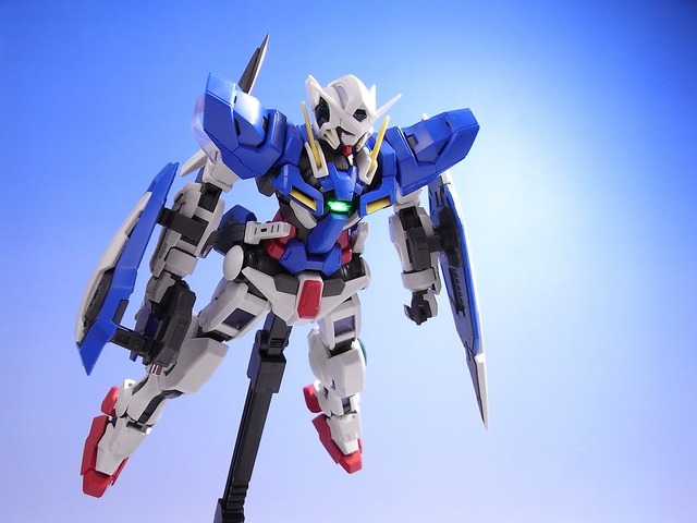 RIMG0055