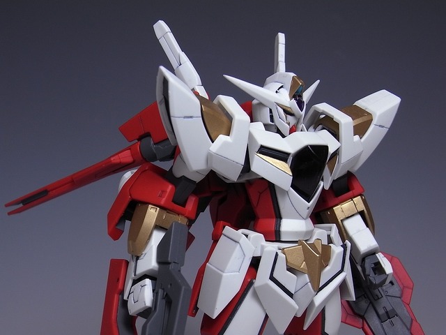 RIMG0017