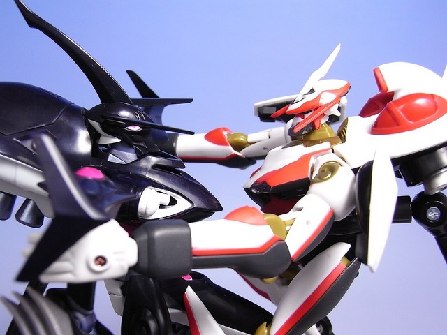 RIMG0048