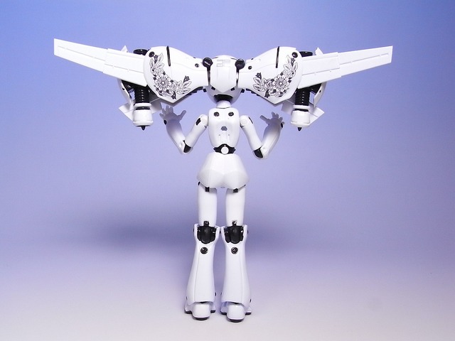 RIMG0025