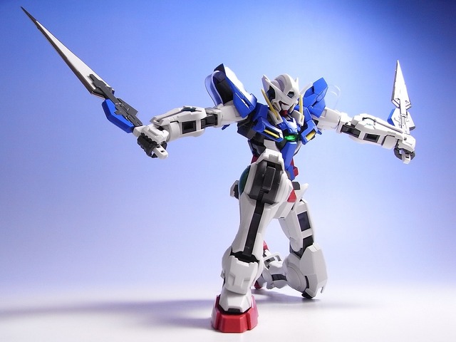 RIMG0110