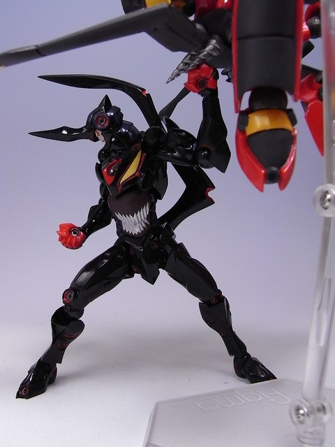 RIMG0037