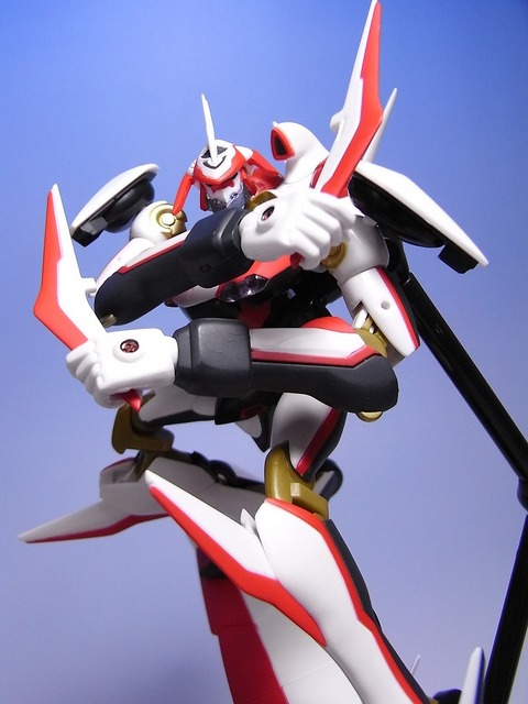 RIMG0041